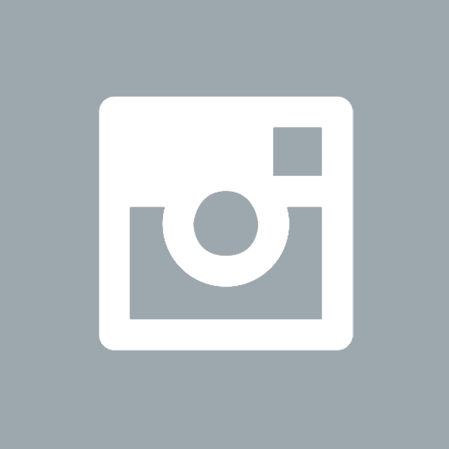Instagram Icon