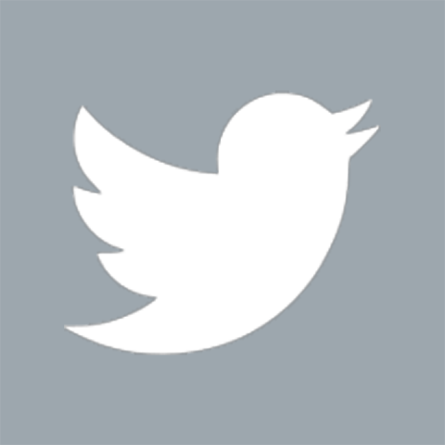 Twitter Icon