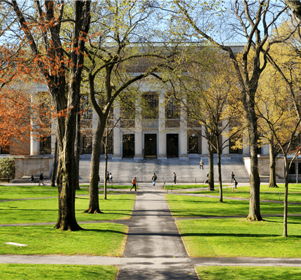 College campus in the spring