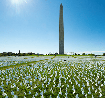 Many white flags in grass in front of Washing Monument in Washington, DC